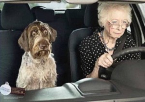 Personnes âgées au volant - la bonne conduite