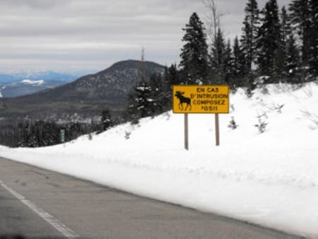 La route du ski sans embûches