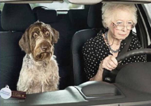 Personnes âgées au volant : la bonne conduite